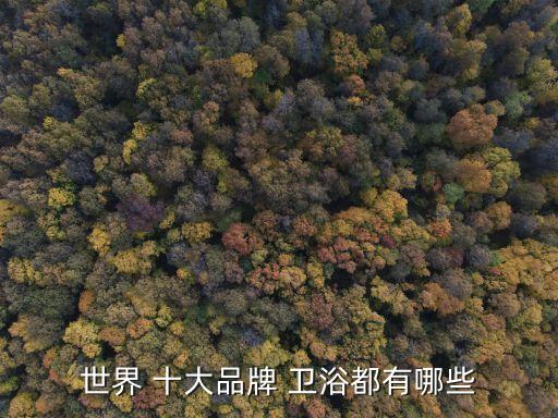世界 十大品牌 衛(wèi)浴都有哪些