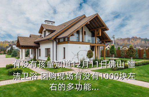 有沒有孩童知道12月11日佛山 恒潔衛(wèi)浴 團(tuán)購現(xiàn)場有沒有1000塊左右的多功能...