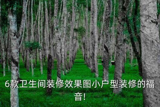 6款衛(wèi)生間裝修效果圖小戶型裝修的福音!
