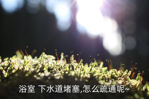 浴室 下水道堵塞,怎么疏通呢~