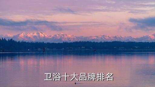 衛(wèi)浴有哪些品牌包包圖片,衛(wèi)浴排名前十的品牌有哪些