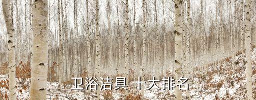  衛(wèi)浴潔具 十大排名
