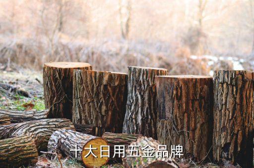 純鋼衛(wèi)浴工具有哪些品牌