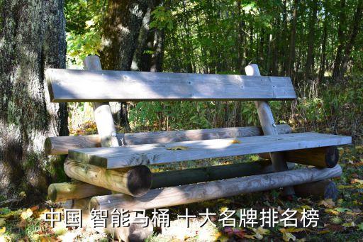 牧王智能衛(wèi)浴十大品牌,智能衛(wèi)浴十大名牌排名