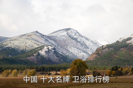衛(wèi)浴十大品牌網(wǎng)站,十大品牌衛(wèi)浴排名前十名