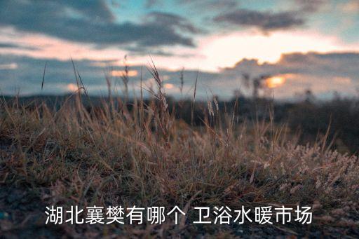 湖北襄樊有哪個(gè) 衛(wèi)浴水暖市場(chǎng)