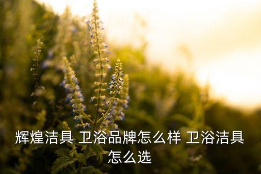 輝煌潔具 衛(wèi)浴品牌怎么樣 衛(wèi)浴潔具怎么選