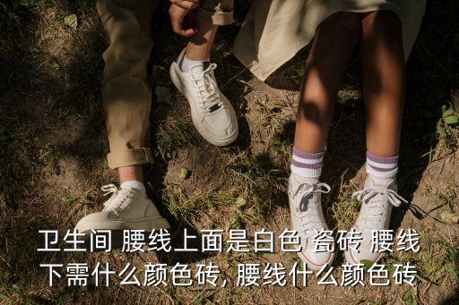 衛(wèi)生間 腰線上面是白色 瓷磚 腰線下需什么顏色磚, 腰線什么顏色磚