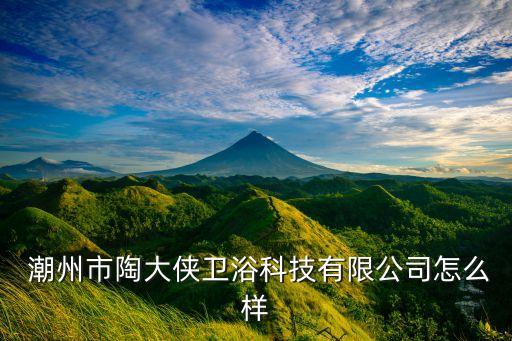  潮州市陶大俠衛(wèi)浴科技有限公司怎么樣