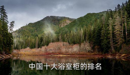 衛(wèi)浴柜有幾種品牌型號(hào)圖片