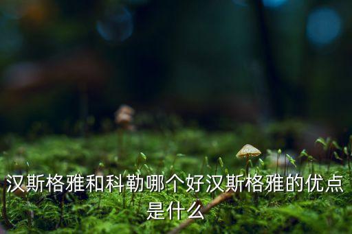 漢斯格雅和科勒哪個好漢斯格雅的優(yōu)點是什么