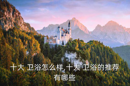 十大 衛(wèi)浴怎么樣,十大 衛(wèi)浴的推薦有哪些