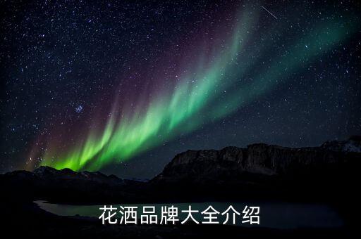 花灑品牌大全介紹