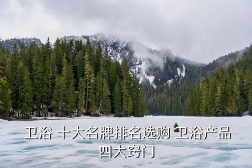 十大衛(wèi)浴品牌怎么弄的好看,衛(wèi)浴十大名牌排名