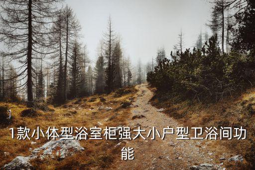 1款小體型浴室柜強(qiáng)大小戶型衛(wèi)浴間功能