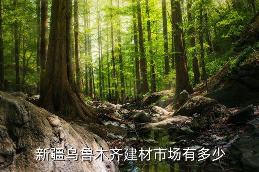 新疆衛(wèi)浴扶手批發(fā)市場(chǎng)地址