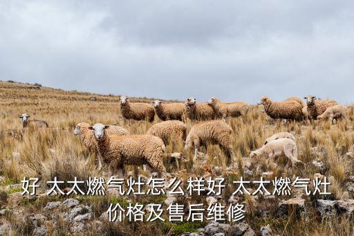 好 太太燃?xì)庠钤趺礃雍?太太燃?xì)庠顑r(jià)格及售后維修