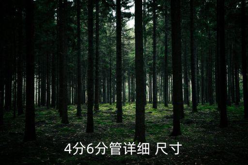 4分6分管詳細(xì) 尺寸