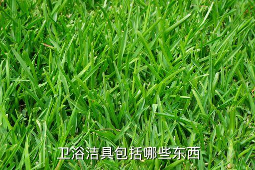  衛(wèi)浴潔具包括哪些東西