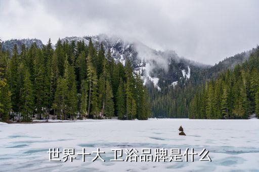 世界十大 衛(wèi)浴品牌是什么