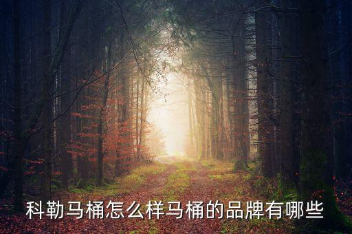 科勒馬桶怎么樣馬桶的品牌有哪些