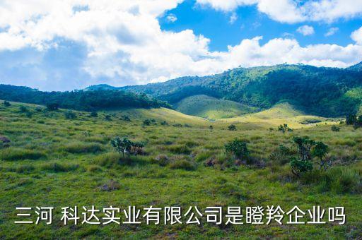 三河 科達(dá)實(shí)業(yè)有限公司是瞪羚企業(yè)嗎