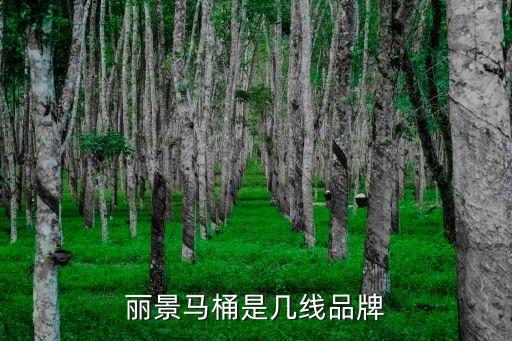 麗景衛(wèi)浴廠地址在哪里啊