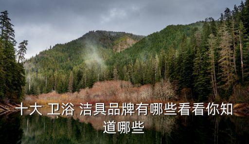 潔具衛(wèi)浴10大品牌貝樂,貝樂潔具屬幾線品牌