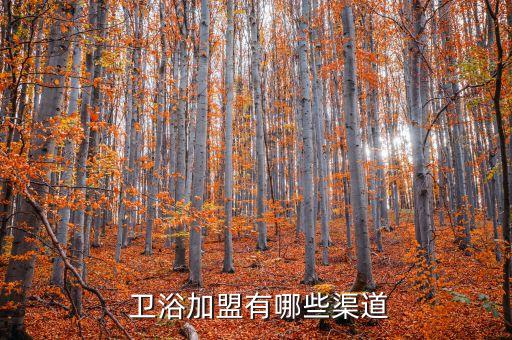  衛(wèi)浴加盟有哪些渠道