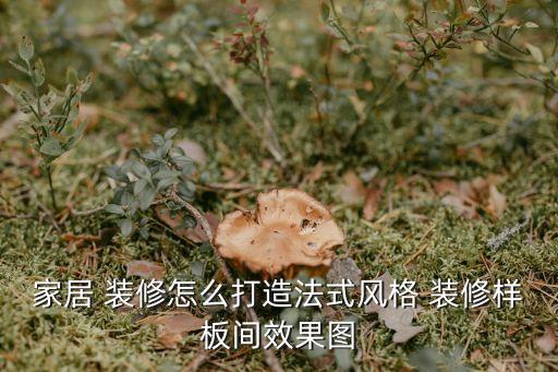 家居 裝修怎么打造法式風(fēng)格 裝修樣板間效果圖