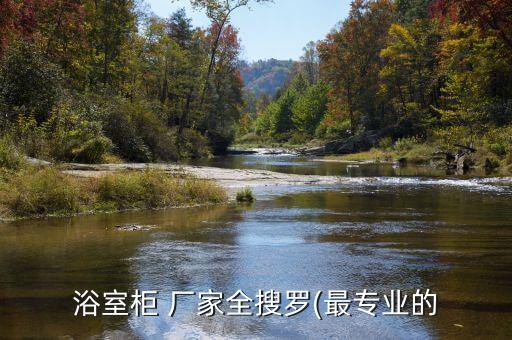 浴室柜 廠家全搜羅(最專業(yè)的