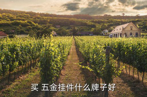 衛(wèi)浴五金品牌店鋪推薦一下,五金衛(wèi)浴包括哪些