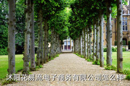 沭陽(yáng)花易流電子商務(wù)有限公司怎么樣