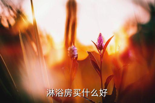 淋浴房買什么好