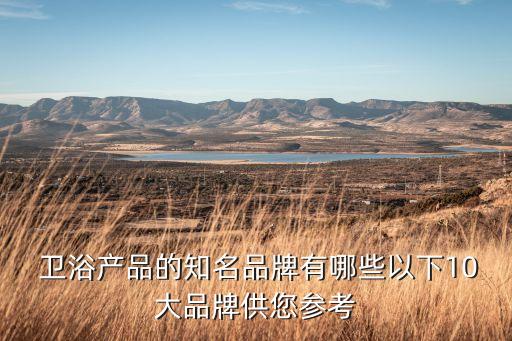  衛(wèi)浴產(chǎn)品的知名品牌有哪些以下10大品牌供您參考