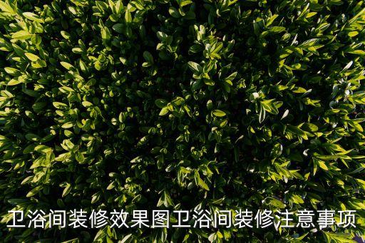 衛(wèi)浴間裝修效果圖衛(wèi)浴間裝修注意事項