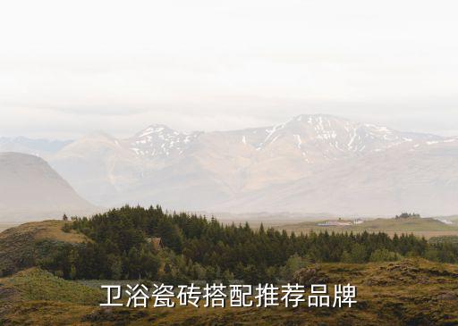 松下衛(wèi)浴瓷磚搭配推薦品牌