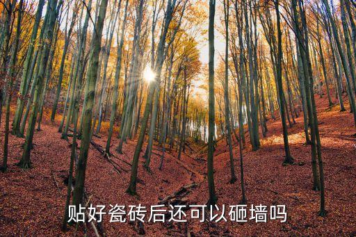 廣東衛(wèi)浴花磚廠家電話
