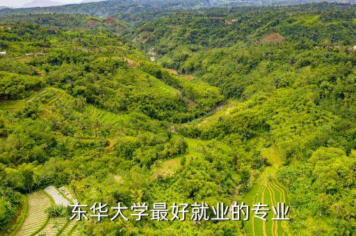  東華大學(xué)最好就業(yè)的專業(yè)