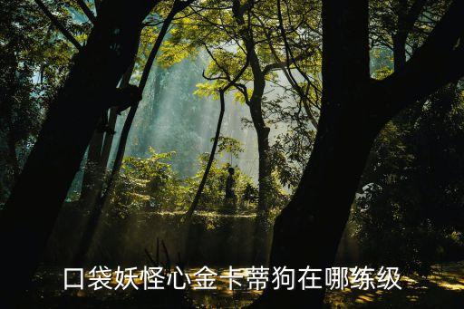 口袋妖怪心金卡蒂狗在哪練級
