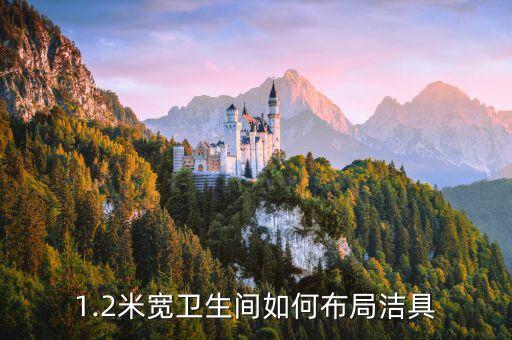 衛(wèi)浴干濕分離大理石圖片,衛(wèi)生間干濕分離大理石地面如何鋪