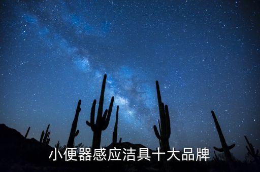 小便器感應(yīng)潔具十大品牌
