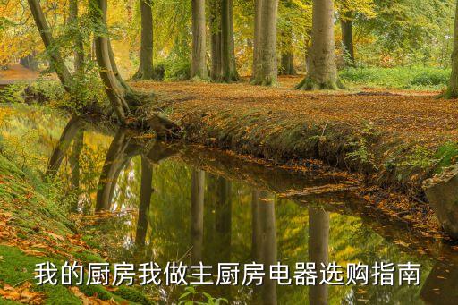 我的廚房我做主廚房電器選購指南