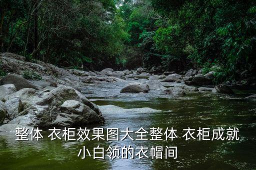 歐式衛(wèi)浴柜衣柜圖片效果圖