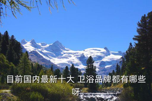 目前國內(nèi)最新十大 衛(wèi)浴品牌都有哪些呀