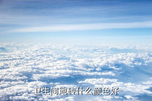 衛(wèi)生間地磚什么顏色好