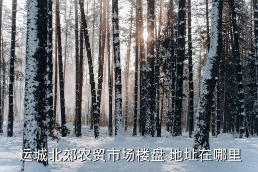  運(yùn)城北郊農(nóng)貿(mào)市場樓盤 地址在哪里
