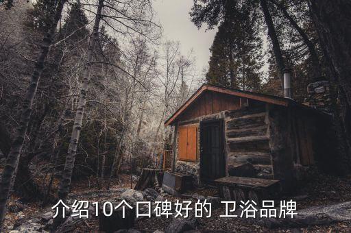 介紹10個口碑好的 衛(wèi)浴品牌