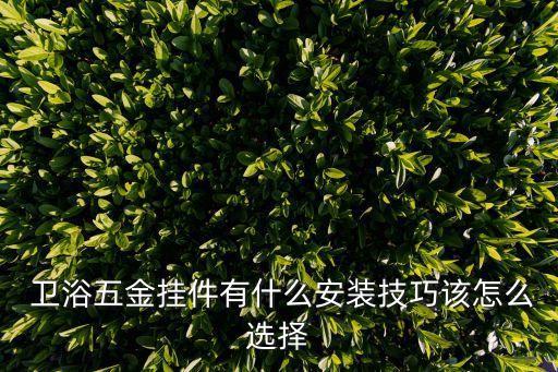  衛(wèi)浴五金掛件有什么安裝技巧該怎么選擇