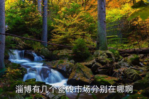 淄博有幾個瓷磚市場分別在哪啊